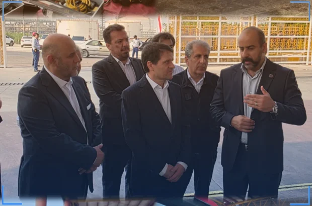 بازدید معاون وزیر نفت از شرکت HSE پتروشیمی‌های عسلویه