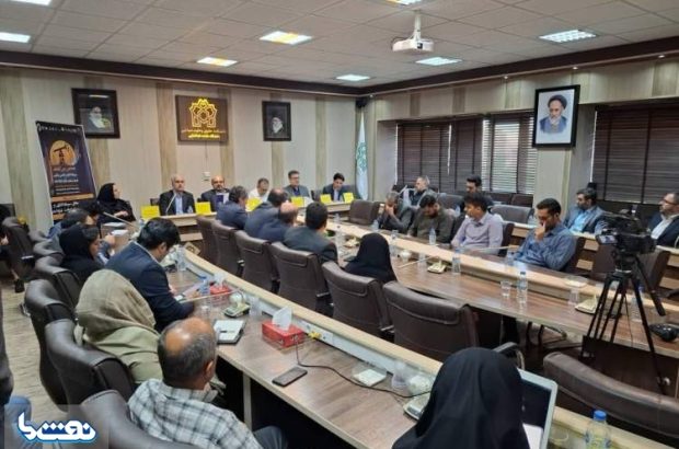 اجرای اسنپ بک بر تامین خوراک و بازار پتروشیمی ایران تاثیرگذار خواهد بود