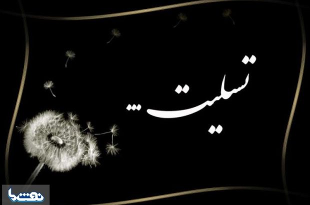  مدیرعامل پتروشیمی بوعلی به سوگ نشست