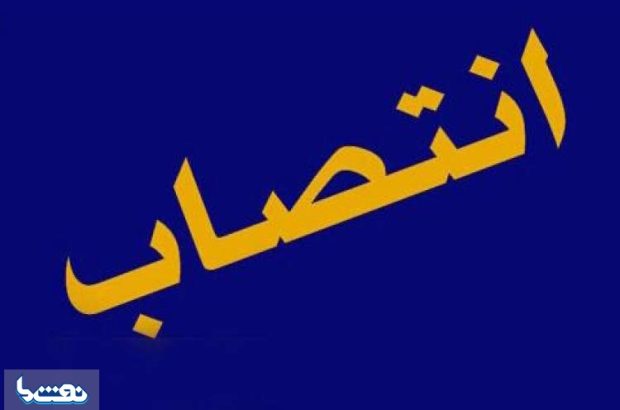دستیار وزیر نفت منصوب شد