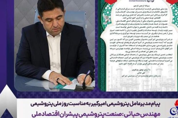 مهندس حیاتی: صنعت پتروشیمی پیشران اقتصاد ملی مهندس حیاتی: صنعت پتروشیمی پیشران اقتصاد ملی