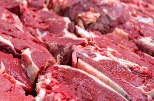 قیمت گوشت قرمز امروز یکشنبه ۱۲ مهر ۱۴۰۵ / گوشت گوسفندی و گوساله گران شد؟
